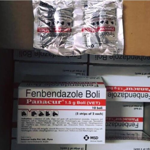 Fenbendazole 1500 mg